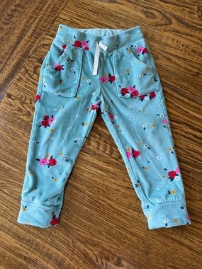 Cat & Jack Velour Joggers